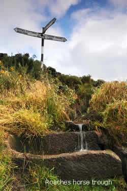 roaches horse trough